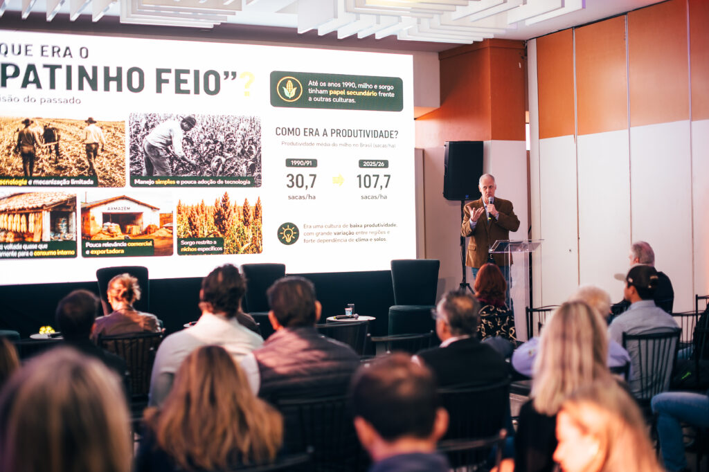 Presidente da Abramilho, Paulo Bertolini, destacou o crescimento da produção de milho e sorgo e as oportunidades para ampliar a competitividade do agronegócio brasileiro